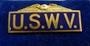 United States War Veteran Pin