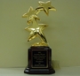 Accolade Winner Award of Excellence